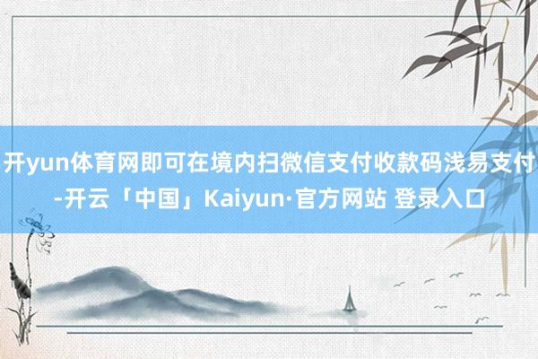 开yun体育网即可在境内扫微信支付收款码浅易支付-开云「中国」Kaiyun·官方网站 登录入口