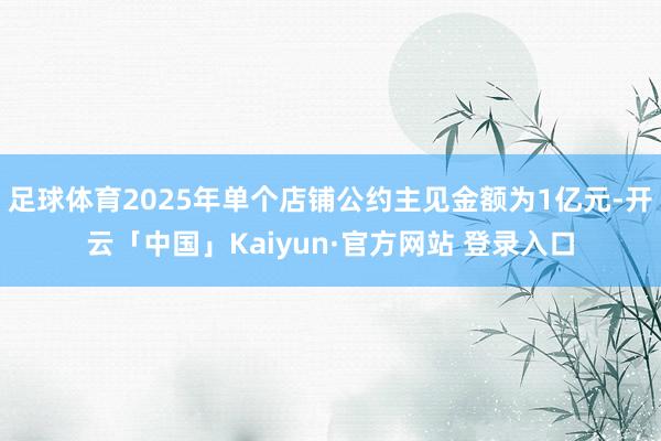足球体育2025年单个店铺公约主见金额为1亿元-开云「中国」Kaiyun·官方网站 登录入口