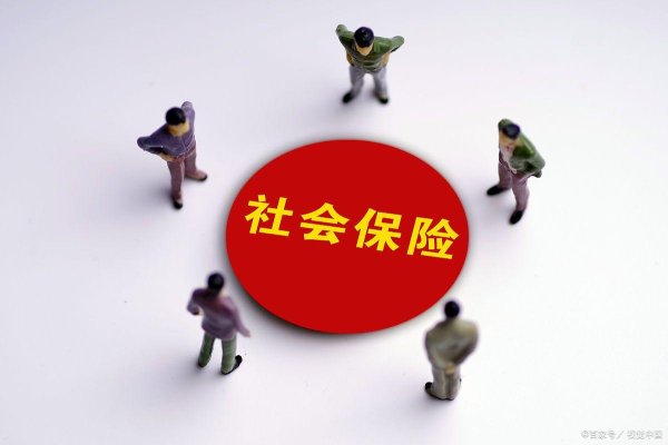 开云体育职业家需要累计交纳满15年的社会保障费-开云「中国」